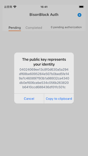 BisonBlock Auth Screen 3