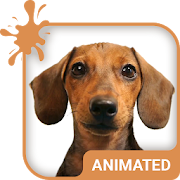 Top 45 Personalization Apps Like Doggy Dream Animated Keyboard + Live Wallpaper - Best Alternatives