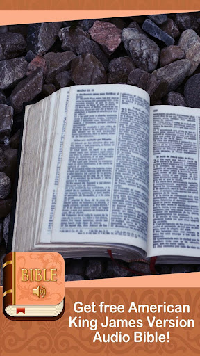 Audio Bible in English offline Screen 3