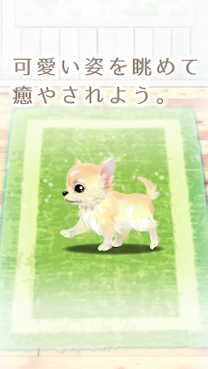 癒しの子犬育成ゲーム〜チワワ編〜のおすすめ画像5