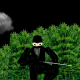 3D Ninja Game icon