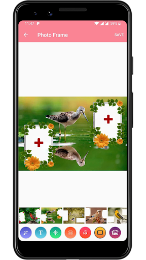 Bird Dual Photo Frame Screen 2