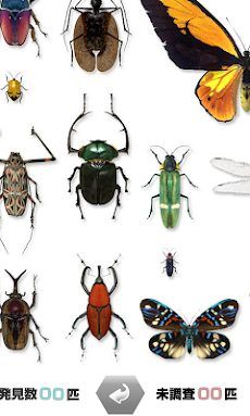 世界の昆虫採集ライト版のおすすめ画像4