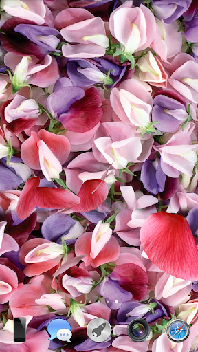 Petals 3D live wallpaper Screenshot 3 - AppWisp.com