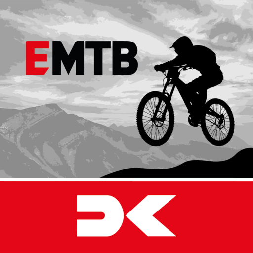 E-MTB – driving technique  Icon