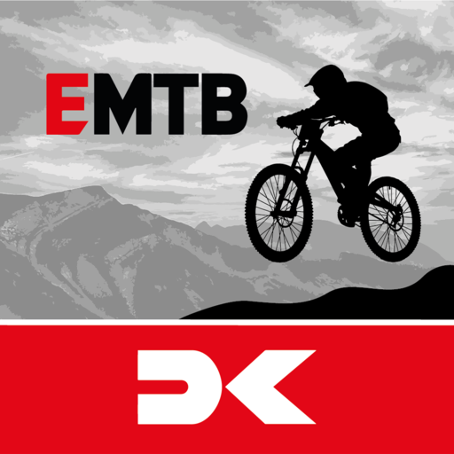 E-MTB – driving technique logo