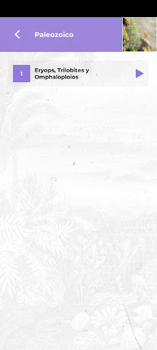 MuPa CLM Screen 3