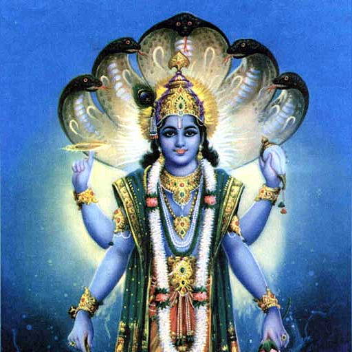 Om Namo Narayana