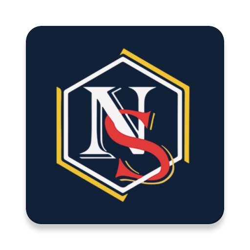 NS Leilões logo
