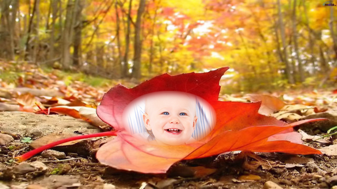 Android application Colorfull Autumn Photo Frames screenshort