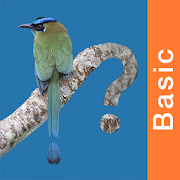 Panama Birds Field Guide Basic  Icon