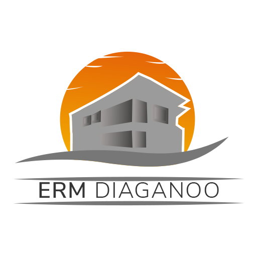 ERM Diaganoo logo