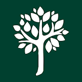 Strom Biodiverzity icon