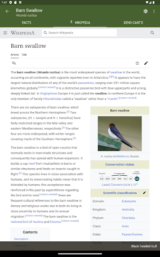 Little Bird Guide: Aves Europe 12