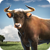 Bull Simulator 3D icon