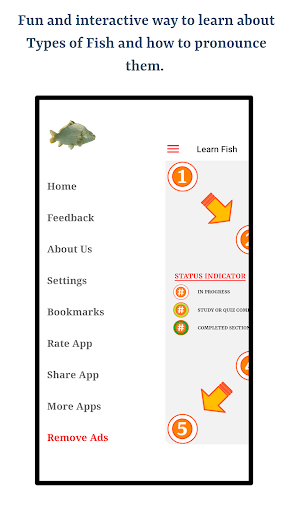Types Of Fish screenshot 5