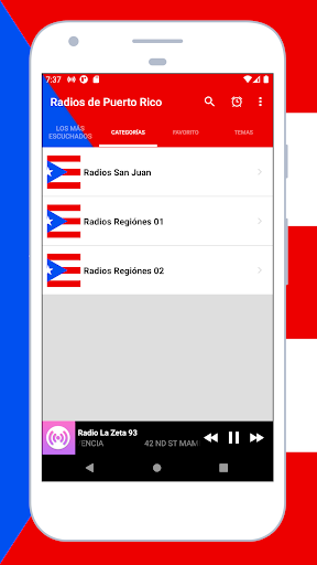 Vista previa de la aplicación