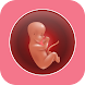 Baby & Pregnancy Tracker