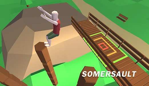 Somersault 3D