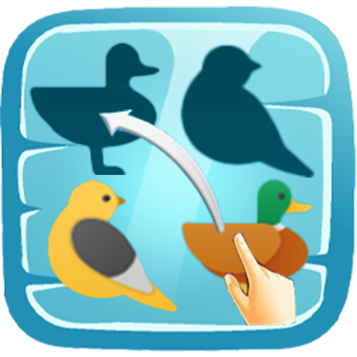 Shadow Matching Puzzles logo