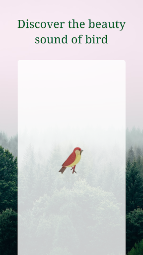 Android application Sound of Bird: Natural Habitat screenshort