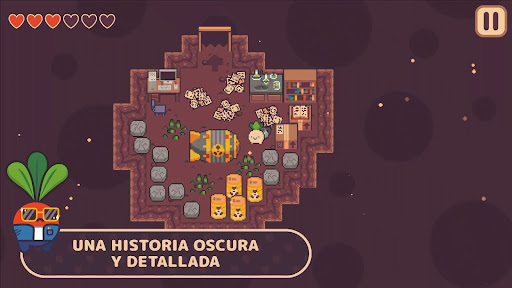 Vista previa de la aplicación