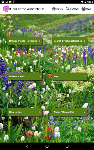 Screenshot of Flora of the Wasatch
