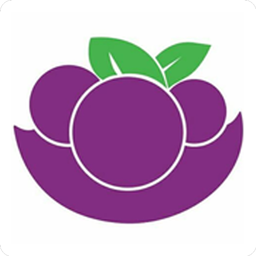 Pede Açaí logo