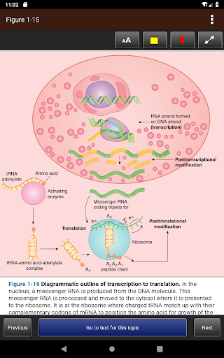 Ganongs Review of Medical Phy