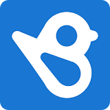 Birdeye icon