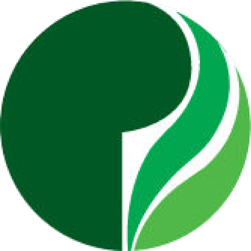 Cistronics Team logo