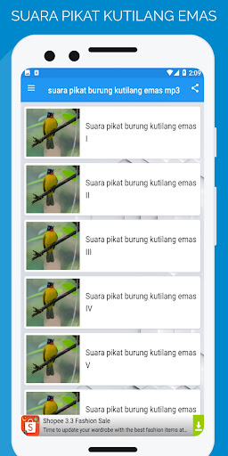 suara pikat kutilang emas mp3 Screen 2