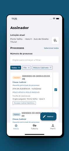 TJRO Corporativo Screen 3