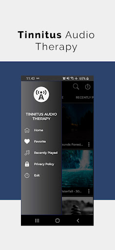 Tinnitus Audio Therapy Screenshot 1 - AppWisp.com