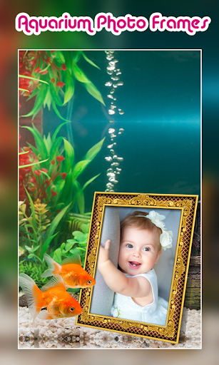 Aquarium Photo Frames