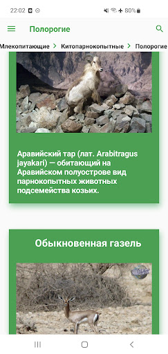 Животные Эмиратов