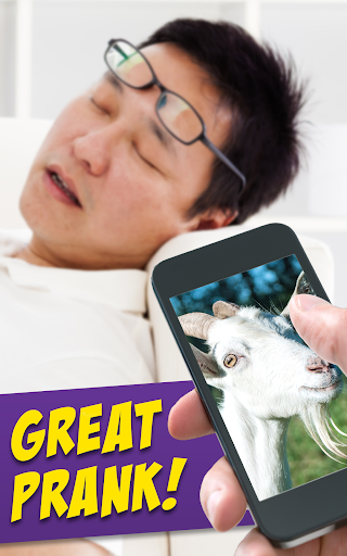 Screaming Goat Air Horn Screen 3