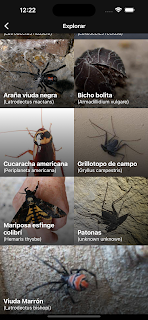 Bichos ID