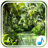 Jungle Sounds - Nature Sounds icon
