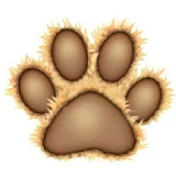 Pet Shop Cão Chic 24h icon
