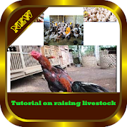 Top 45 Books & Reference Apps Like Tutorial on How to Cattle Chickens - Best Alternatives