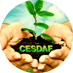 Cover Image of Download CESDAF RÁDIO 8.0 APK