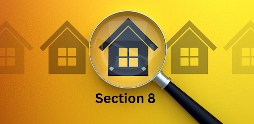 Section 8