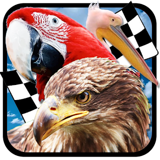 Bird Race 3D apk