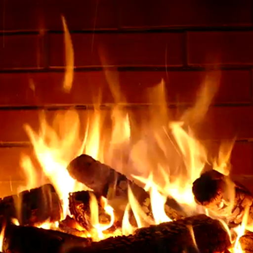 Fireplaces to Love logo