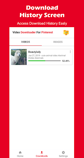 Video Downloader For Pinterest 9