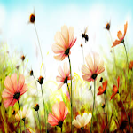 Cover Image of Tải xuống spring wallpaper background 3 APK