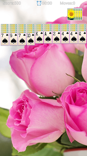 Spider Solitaire - Card Games