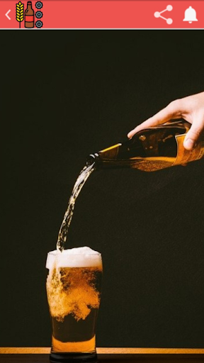 Home Brewing 101 Audio Book