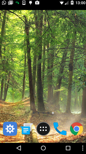 forest video wallpaper Screen 2